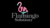 Flamingo Solutionz